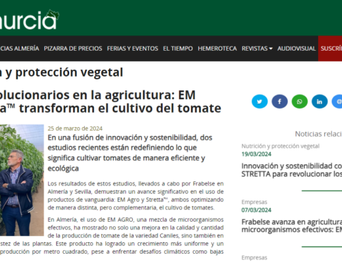 Avances revolucionarios en la agricultura: EM Agro y Stretta™ transforman el cultivo del tomate