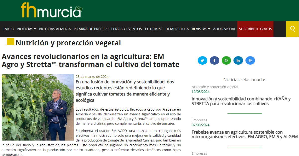 Avances revolucionarios en la agricultura_ EM Agro y Stretta™ transforman el cultivo del tomate